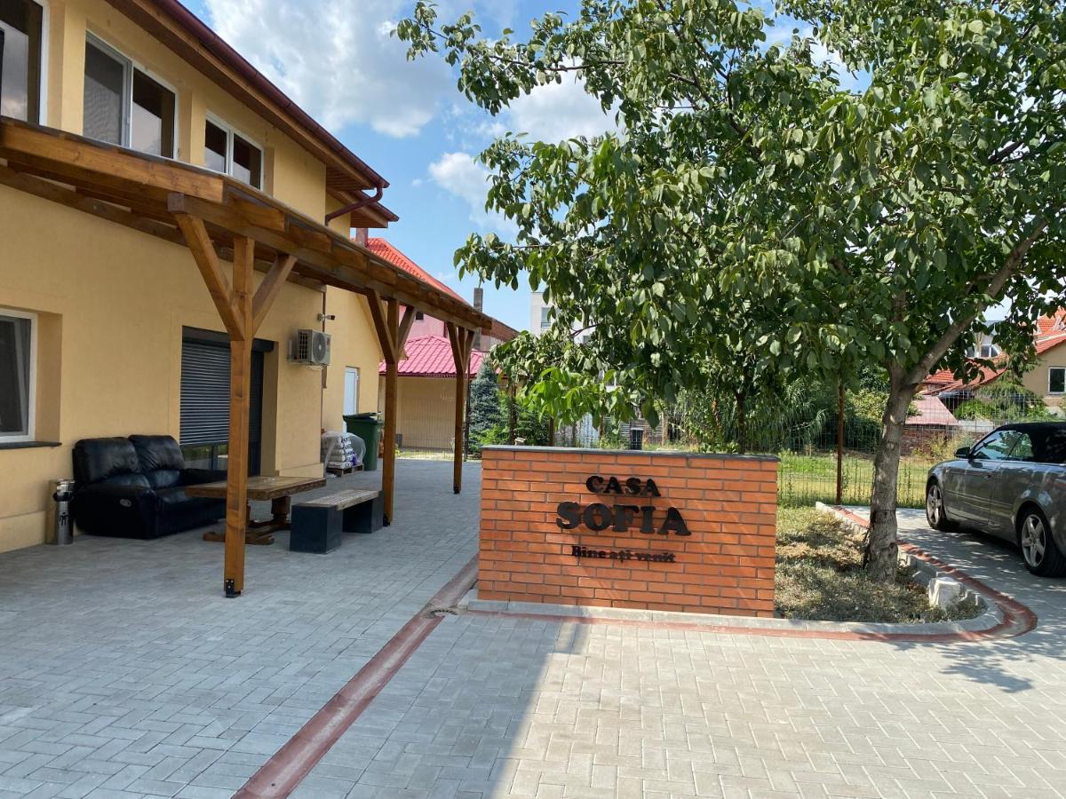 Casa Sofia Pensión Satu Mare